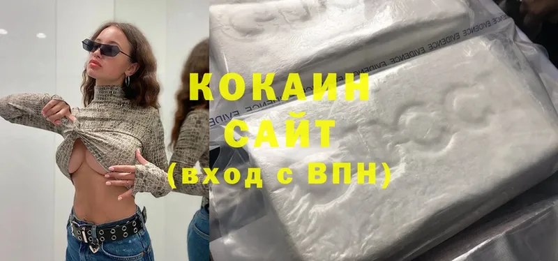 купить наркотики цена  Елизово  kraken ссылки  площадка наркотические препараты  Cocaine Fish Scale 